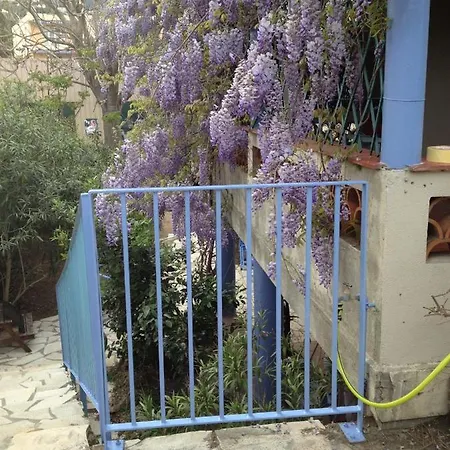 Maison Du Cèdre Hébergement de vacances Cavalaire-sur-Mer